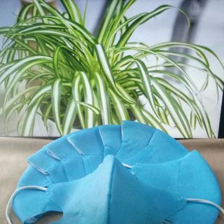 KHẨU TRANG 3D VẢI KHÔNG DỆT (3 MÀU) - MÀU XANH_1set 50 Cái