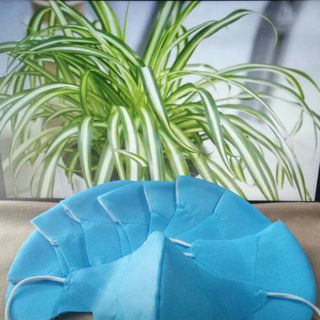 KHẨU TRANG 3D VẢI KHÔNG DỆT (3 MÀU) - MÀU XANH_1set 50 Cái