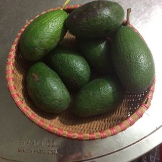 Bơ gia lai - sạch - ngon - rẻ