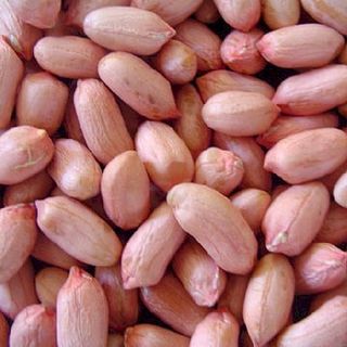 Đậu lạc (đậu phộng) khô nhà làm