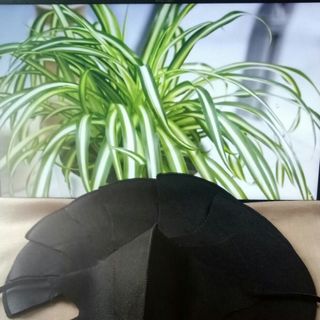 KHẨU TRANG 3D VẢI KHÔNG DỆT (3 MÀU) - MÀU ĐEN_1 Set 50 Cái