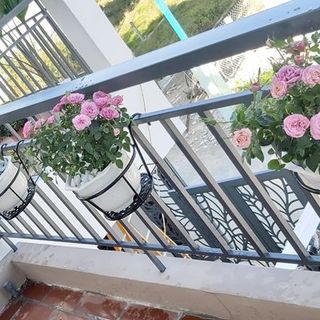 Giỏ treo hoa ban công giá rẻ nhất thị trường