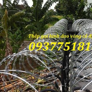 dây thép gai hình dao, dây kẽm gai hình dao rẻ nhất bà rịa vũng tàu
