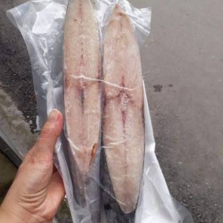 CÁ THU PHẤN MỘT NẮNG CẮT KHÚC