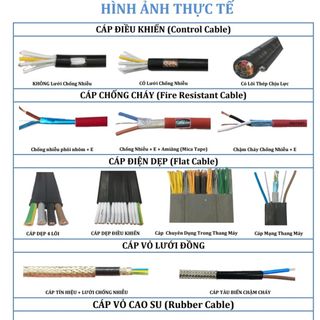 Cáp Tín hiệu cáp âm thanh và Ống Ruột Gà Lõi Thép