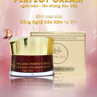 H&H Melasma Perfect Cream 30gram - Cao trị Nám - Tàn Nhang