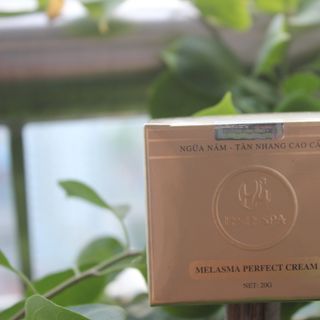 H&H Melasma Perfect Cream 30gram - Cao trị Nám - Tàn Nhang