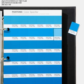 Bảng màu Pantone TPG FHIP210A Fashion Home Interiors 2020