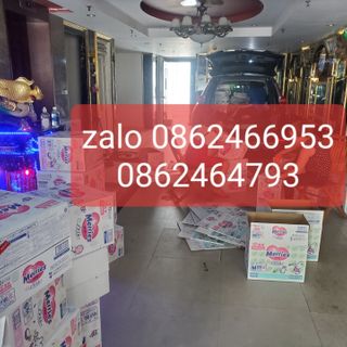 Sĩ nhỏ lớn merries nội địa nhật cộng miếng