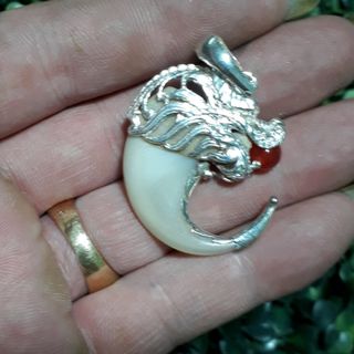 Móng hổ đã lên bạc