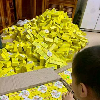 dầu tỏi diệp chi gold