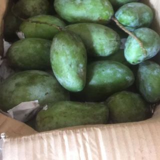 Xoài hạt lép siêu ngon