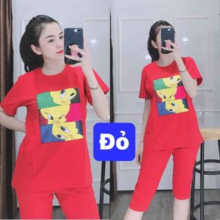 Bộ coton mịn đẹp gg2
