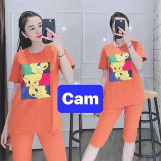 Bộ coton mịn đẹp gg2