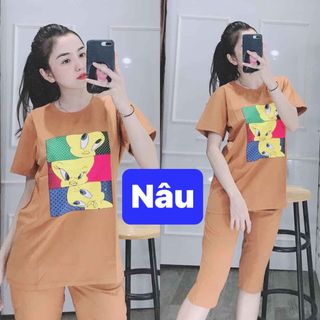 Bộ coton mịn đẹp gg2