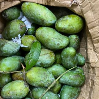 Xoài hạt lép siêu ngon