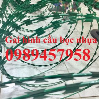 Dây thép gai bọc nhựa ,Dây gai lam bọc nhựa PVC, dây gai hình cầu
