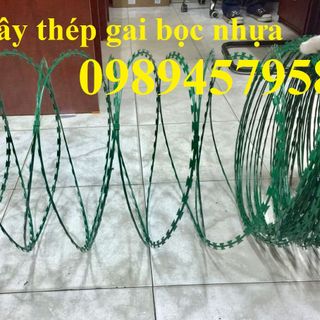 Dây thép gai bọc nhựa ,Dây gai lam bọc nhựa PVC, dây gai hình cầu