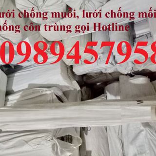 Lưới chống mối inox304 ,Lưới chống côn trùng 50mesh, 70mesh, 80mesh, lưới sàng lọc thực phẩm
