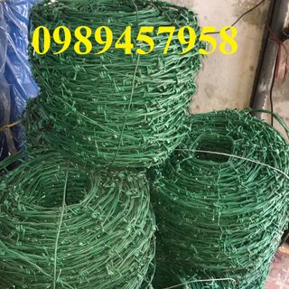 Dây thép gai bọc nhựa ,Dây gai lam bọc nhựa PVC, dây gai hình cầu