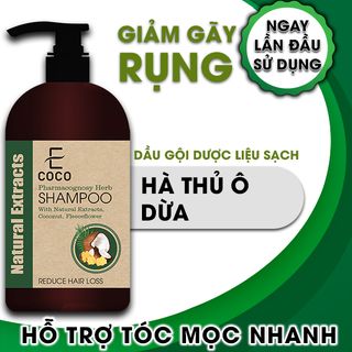 Dầu gội dược liệu giảm rụng tóc Ecoco với chiết xuất dừa, hà thủ ô giá sỉ