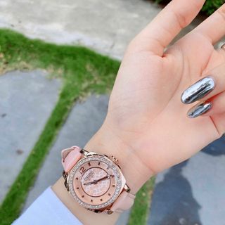 ĐỒNG HỒ NỮ COACH CAO CẤP ĐỦ MÀU