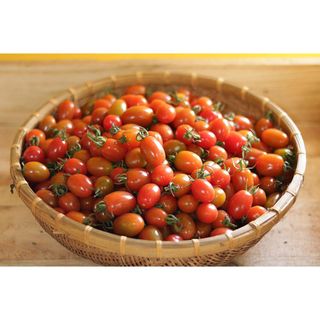 hạt giống rau giá sỉ, từ 4k-9k.