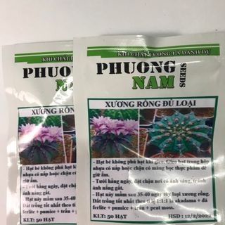 hạt giống rau giá sỉ, từ 4k-9k.