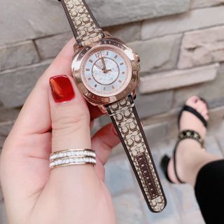 ĐỒNG HỒ COACH CAO CẤP NỮ