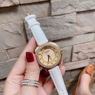 ĐỒNG HỒ COACH CAO CẤP NỮ