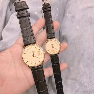 ĐỒNG HỒ SỈ CẶP ĐÔI CITIZ ECO DRIVE DÂY ĐEN