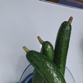 Bơ 034 size to 2-3 trái/kg - Đặc Sản Lâm Đồng