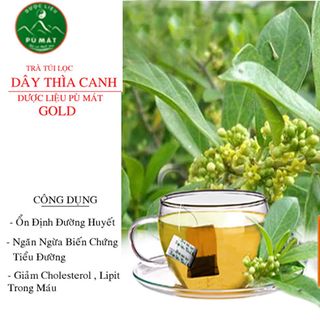 Trà dược liệu túi lọc Dây Thìa Canh