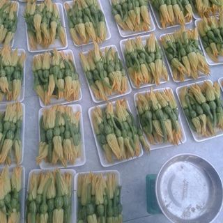 Bí nụ