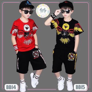 Bộ chim đại bàng size đại 40-50kg