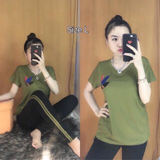 Bộ coton mịn đẹp 2347894