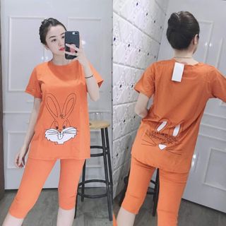 Bộ coton mịn đẹp 23478910