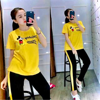 Bộ coton mịn đẹp 23478914