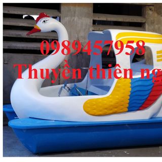 Thuyền đạp vịt - thiên nga đạp nước