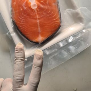 Cá hồi Nauy - Chile Sushi