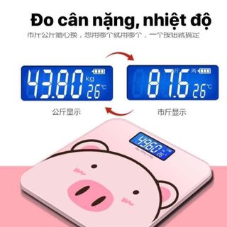 CÂN SƯC KHỎE HÌNH LỢN