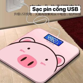 CÂN SƯC KHỎE HÌNH LỢN