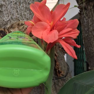 Dầu gội xả Thorakao Bưởi 400 ml