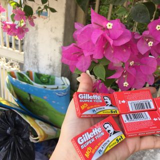 bộ 5 hộp lưỡi lam Gillette