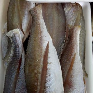 Cá đù một nắng