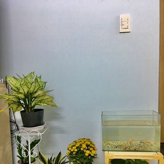 Kệ Gỗ 2 Tầng HOMY size 32x32cm | chịu lực lên đến 100kg siêu chắc chắn