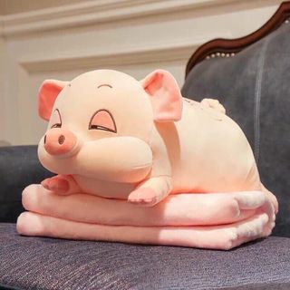 Heo kèm mềm cute