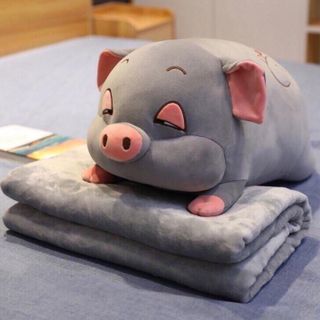 Heo kèm mềm cute