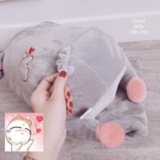 Heo kèm mềm cute