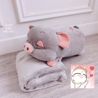 Heo kèm mềm cute